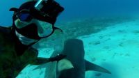 GoPro: Shark Riders