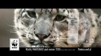WWF: pantery niene